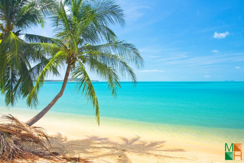 Tranh dán tường 3d đẹp cho phòng khách BE - 035